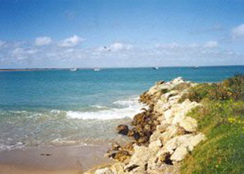 Southern Ocean Tourist Park - Brisbane 4u 2