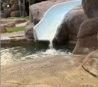 Quality Resort Siesta Resort - Tourism Brisbane 2