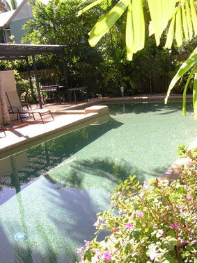 Nautilus Holiday Apartments - Tourism Brisbane 2