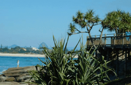 Pandanus Shores - thumb 5