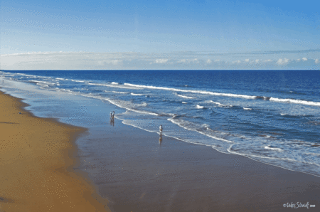 The Edge On Beaches - Brisbane Tourism 2