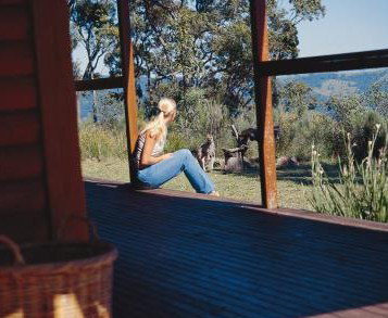 Eaglereach Wilderness Resort - Tourism Brisbane 2