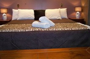 Bohemia Resort Cairns - Tourism Brisbane 1