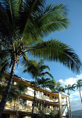 Palms At Trinity - Tourism Brisbane 3