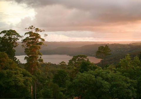 Montville Misty View Cabins - Tourism Brisbane 0
