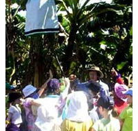 Beachfarm Farmstay - Brisbane Tourism