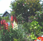 Hopfield Country Cottages - Tourism Brisbane