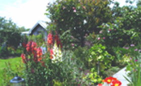 Hopfield Country Cottages - Tourism Brisbane 0