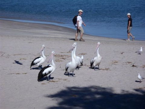Kalbarri Accommodation Service - Tourism Brisbane 5