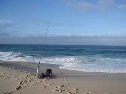 Kalbarri Accommodation Service - Tourism Brisbane 7