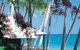Ellis Beach Bungalows And Leisure Park - thumb 0
