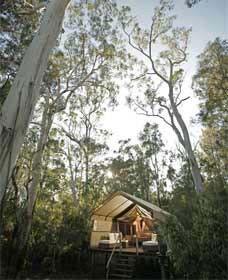 Paperbark Camp - Brisbane 4u 0