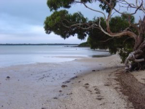 Stanley Lakeside Spa Cabins - Tourism Brisbane 0
