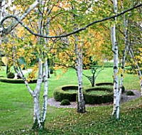 Villarett Gardens - Tourism Brisbane