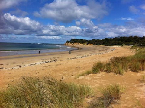 Beachside Accommodation Torquay - Brisbane Tourism 8