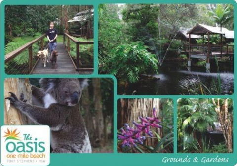 The Oasis At One Mile Beach - Brisbane Tourism 3