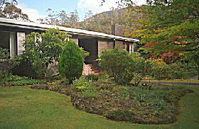 Fern Tree TAS Tourism Brisbane