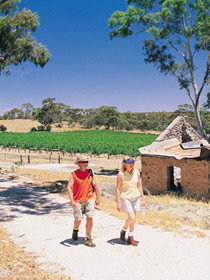 Anama SA Tourism Brisbane