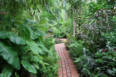 Shambhala Retreat Magnetic Island Cottages - Brisbane Tourism 7
