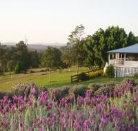 Blue Ridge Lavender Farm And Retreat - Tourism Brisbane