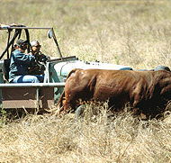 Bullo River Station - Brisbane Tourism