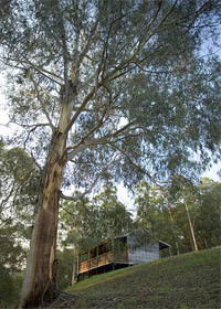 Loch Valley VIC Tourism Brisbane