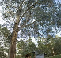 Outpost Restaurant - Tourism Brisbane