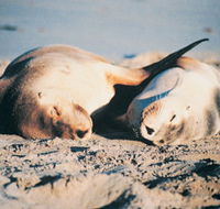 Highgate Farmhouse - Brisbane Tourism