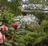 Lorne Lemonade Creek Cottages - Tourism Brisbane