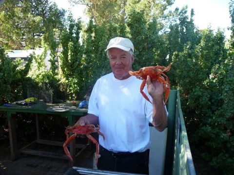 Cowell Foreshore Caravan Park & Holiday Units - Tourism Brisbane 4