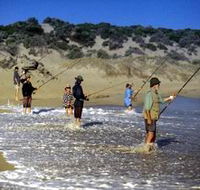 Flippers Beachouse - Tourism Brisbane