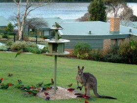 Gipsy Point Lakeside - Tourism Brisbane 0
