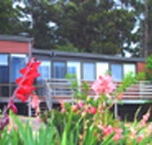 Mount Roland View - Tourism Brisbane