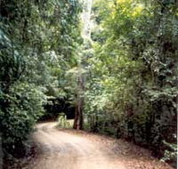 Mt Glorious Getaway Cottages And Conference Centre - Tourism Brisbane