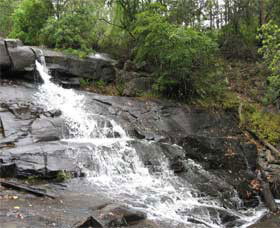 Gully Falls House - Tourism Brisbane 0
