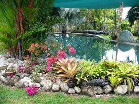 Daintree Wild Bed And Breakfast - Brisbane 4u 0