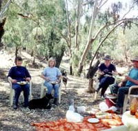 Bimbimbi And Little Hollow Farm Stay - Tourism Brisbane