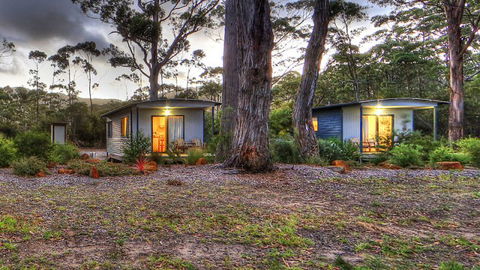 Captain Cook Holiday Park - Brisbane Tourism 7