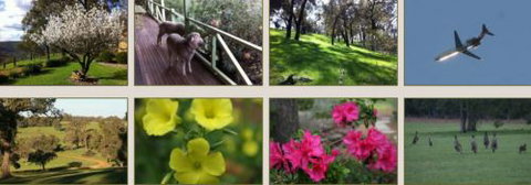 Moondyne Country Convention Centre - Tourism Brisbane 2