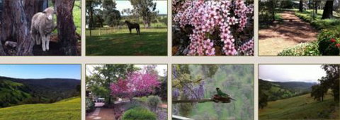 Moondyne Country Convention Centre - Tourism Brisbane 3