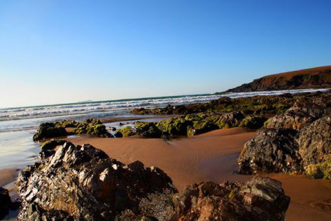 ArtHOUSE Beachfront Accommodation - Tourism Brisbane 8