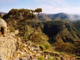 Bendleby Ranges - Tourism Brisbane 0