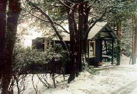 Waldheim Cabins - Tourism Brisbane 0