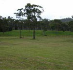 Mt White Lodge - Brisbane Tourism