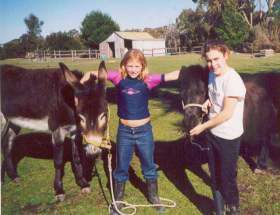 Grampians Sunrise Holiday Villas - Brisbane 4u 0
