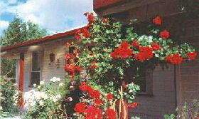 Epping Forest TAS Tourism Brisbane
