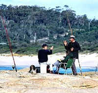 Binalong Bungalows - Brisbane Tourism