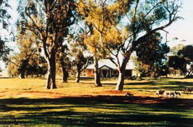 Blue Gum House - Tourism Brisbane 0