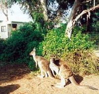 Avoca Dell Caravan Park - Tourism Brisbane