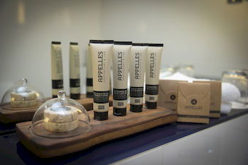 Novotel Sydney Rockford Darling Harbour - Brisbane Tourism 1